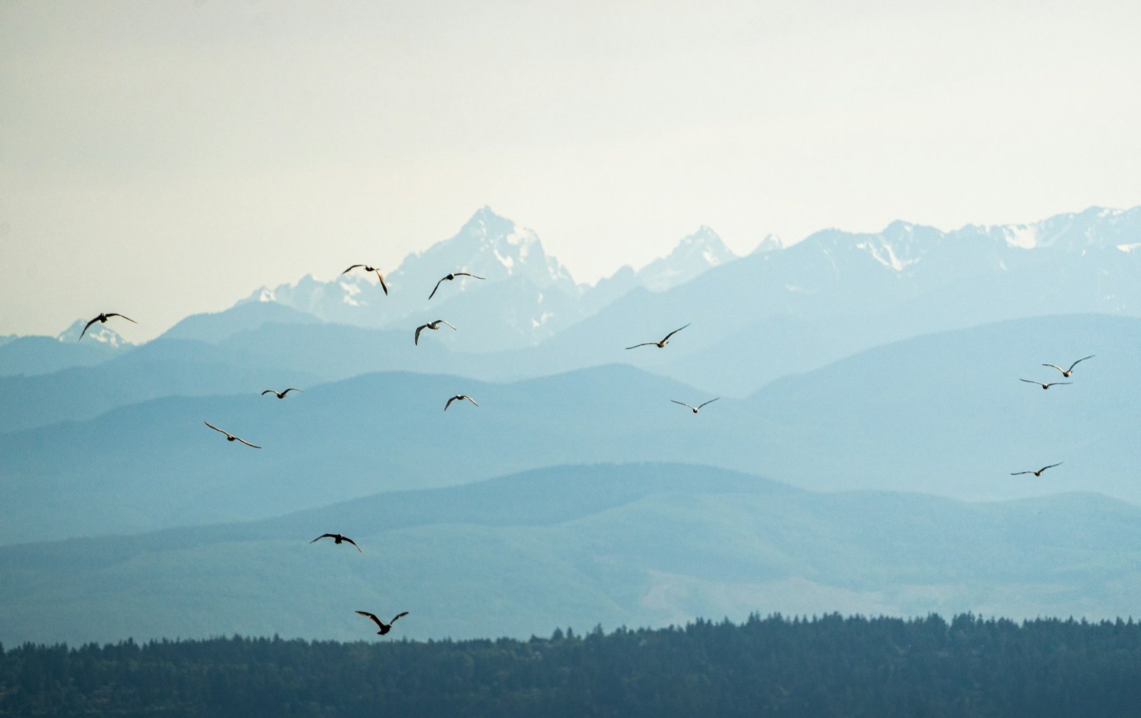 The Evolution of Social Media: Trends and Influencer Culture